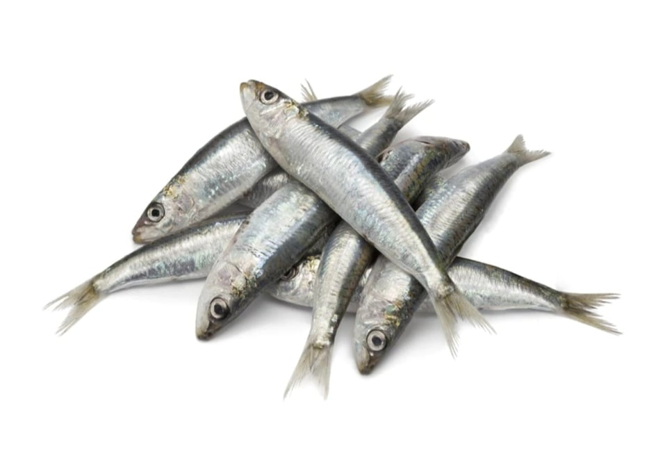 Whole fresh sardines